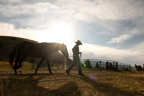 Get to Know the American Cowgirls Reshaping Contemporary Farm Life