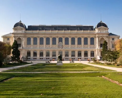 Priceless Gold Pieces Taken in Audacious Robbery at French Natural History Museum